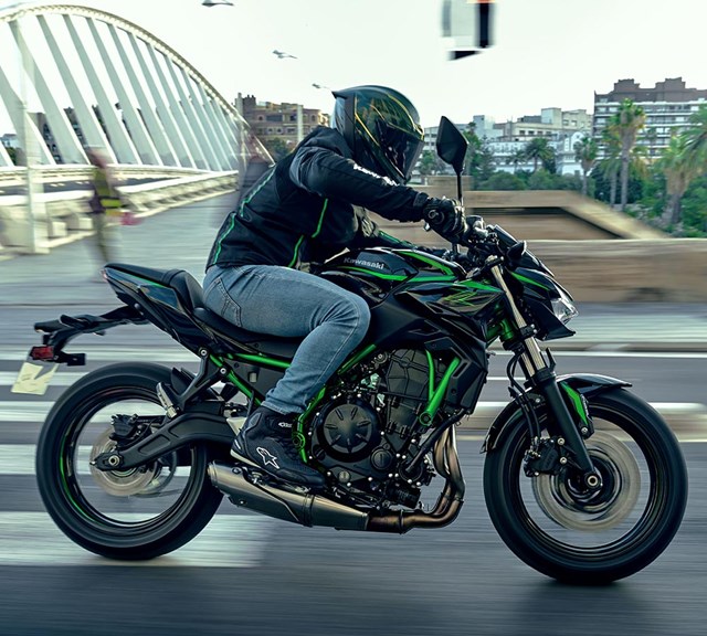 Z650 - Image 5
