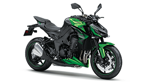Z1100